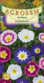 Zorele pitice mix 1gr