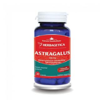 Astragalus 500mg 30cps - Herbagetica