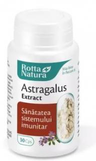 Astragalus extract 30cps - Rotta Natura