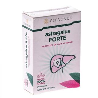 Astragalus forte 30cps - Vita Care