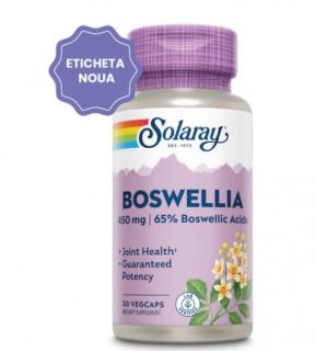 Boswellia 450mg 30cps vegetale - Secom