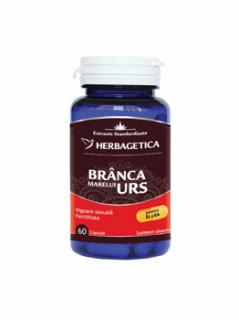 Branca marelui urs 60cps - Herbagetica