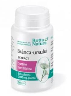 Branca-ursului extract 60cps - Rotta Natura