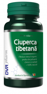 Ciuperca tibetana 60cps - Dvr Pharm