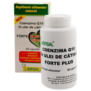 Coenzima q10 in ul. catina forte+ 60mg 40cps moi - Hofigal