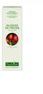 Concentrat mladite maces 15ml - Plantextrakt