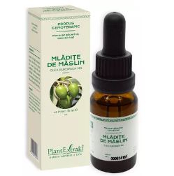 Concentrat mladite maslin 15ml - Plantextrakt