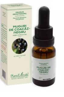 Concentrat muguri coacaz negru 15ml - Plantextrakt