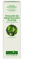 Concentrat muguri mesteacan pufos 15ml - Plantextrakt