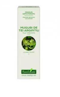 Concentrat muguri tei argintiu 15ml - Plantextrakt