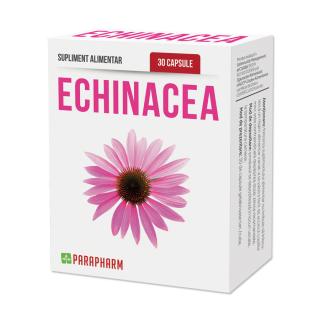 Echinacea 30cps - Quantum Pharm