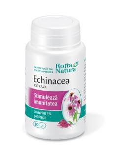 Echinacea extract 30cps - Rotta Natura