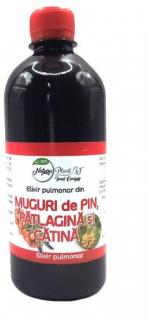 Elixir pulmonar mg.pin,patlaginacatina 500ml - Natura Plant Poieni