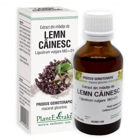 Extract din mladite de lemn cainesc 50ml - Plantextrakt