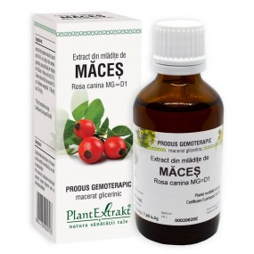 Extract din mladite de maces 50ml - Plantextrakt