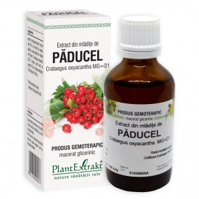 Extract din mladite de paducel 50ml - Plantextrakt