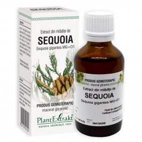 Extract din mladite de sequoia 50ml - Plantextrakt