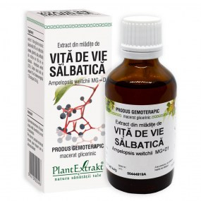 Extract din mladite de vita de vie salbatica 50ml - Plantextrakt