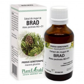 Extract din muguri de brad 50ml - Plantextrakt