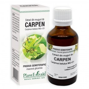 Extract din muguri de carpen 50ml - Plantextrakt