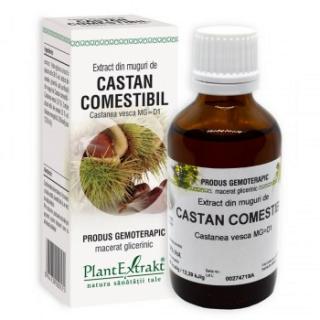 Extract din muguri de castan comestibil 50ml - Plantextrakt