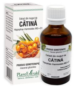 Extract din muguri de catina 50ml - Plantextrakt