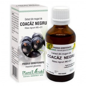 Extract din muguri de coacaz negru 50ml - Plantextrakt