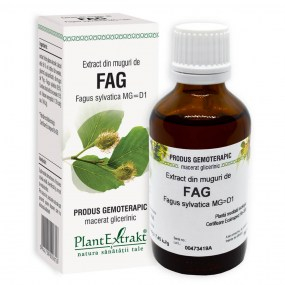 Extract din muguri de fag 50ml - Plantextrakt