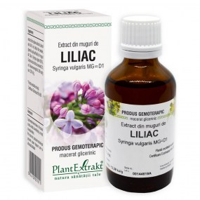 Extract din muguri de liliac 50ml - Plantextrakt