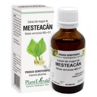 Extract din muguri de mesteacan 50ml - Plantextrakt