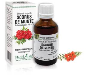 Extract din muguri de scorus de munte 50ml - Plantextrakt