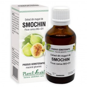 Extract din muguri de smochin 50ml - Plantextrakt