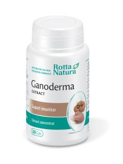 Ganoderma extract 500mg 30cps - Rotta Natura