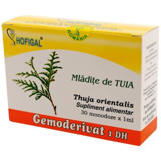 Gemoderivat mladite tuia 1ml 30mdz - Hofigal