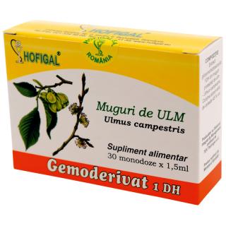 Gemoderivat muguri ulm 1,5ml 30mdz - Hofigal