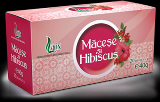 Macese+hibiscus 20dz - Larix