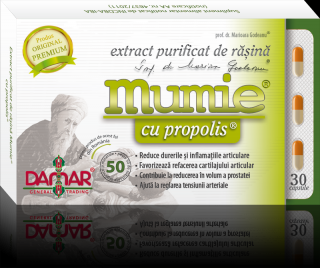 Mumie-extr rasina+propolis 30cps - Damar General