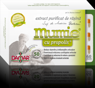 Mumie-extr rasina+propolis 60cps - Damar General