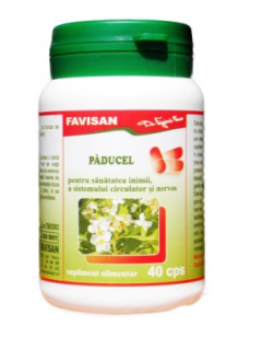 Paducel 40cps - Favisan