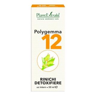 Polygemma 12 rinichi detoxifiere 50ml - Plantextrakt