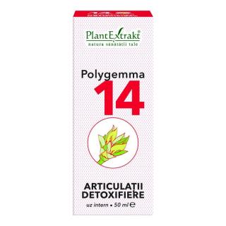 Polygemma 14 articulatii detoxifiere 50ml - Plantextrakt