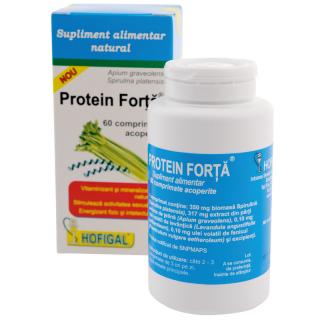 Protein forta 60cpr - Hofigal
