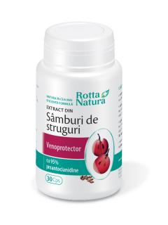 Samburi struguri extract 30cps - Rotta Natura