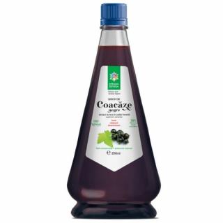 Sirop coacaze negre 250ml - Santo Raphael