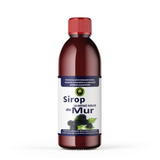 Sirop de mur cu zahar 500ml - Hypericum