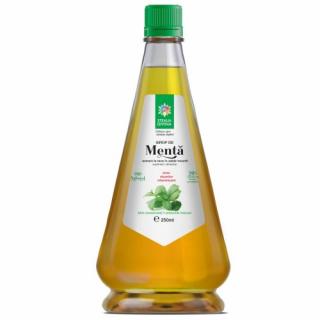 Sirop menta 250ml - Santo Raphael