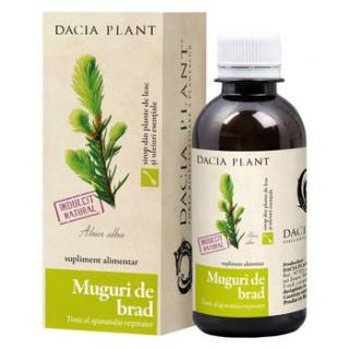 Sirop muguri de brad 200ml - Dacia Plant