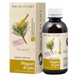 Sirop muguri de pin 200ml - Dacia Plant