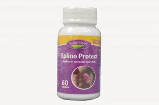 Splino protect 60cps - Indian Herbal