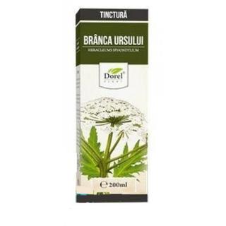 Tinctura branca ursului 200ml - Dorel Plant